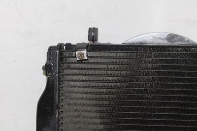 01-03 HONDA CBR1100XX OEM ENGINE RADIATOR MOTOR COOLER COOLING RADIATER
