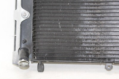 01-05 YAMAHA FZ1 OEM ENGINE RADIATOR MOTOR COOLER COOLING RADIATER