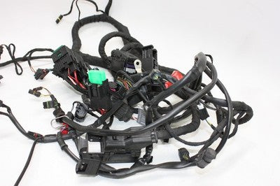 2016 BMW S1000XR OEM MAIN ENGINE WIRING HARNESS MOTOR WIRE LOOM