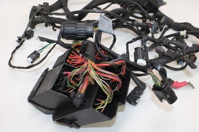 2010 BMW S1000RR OEM MAIN ENGINE WIRING HARNESS MOTOR WIRE LOOM