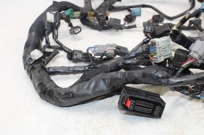 15-16 KAWASAKI VERSYS 1000 OEM MAIN ENGINE WIRING HARNESS MOTOR WIRE LOOM