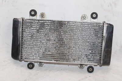 13-17 KAWASAKI NINJA 300 EX300B OEM ENGINE RADIATOR MOTOR COOLER COOLING