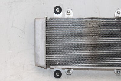 13-17 KAWASAKI NINJA 300 OEM ENGINE RADIATOR MOTOR COOLER COOLING RADIATER