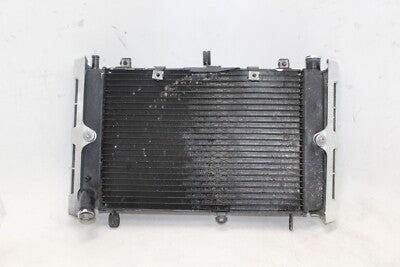 01-05 YAMAHA FZ1 OEM ENGINE RADIATOR MOTOR COOLER COOLING RADIATER