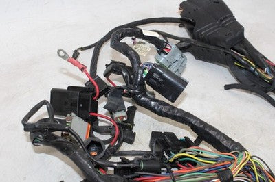 2007 HARLEY-DAVIDSON SPORTSTER 883 OEM MAIN ENGINE WIRING HARNESS WIRE LOOM