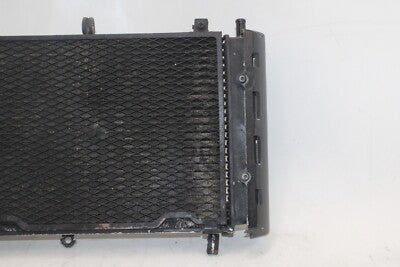 01-05 YAMAHA FZ1 Fazer FZS1000 OEM ENGINE RADIATOR MOTOR COOLER COOLING RADIATER
