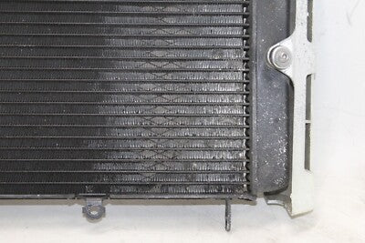 01-05 YAMAHA FZ1 OEM ENGINE RADIATOR MOTOR COOLER COOLING RADIATER