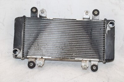 13-17 KAWASAKI NINJA 300 EX300B OEM ENGINE RADIATOR MOTOR COOLER COOLING