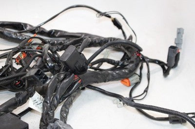 2004 HARLEY-DAVIDSON ELECTRA GLIDE FLHT OEM MAIN ENGINE WIRING HARNESS WIRE LOOM