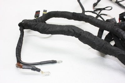 2016 BMW S1000XR OEM MAIN ENGINE WIRING HARNESS MOTOR WIRE LOOM