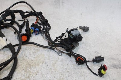 2003 DUCATI 999 OEM MAIN ENGINE WIRING HARNESS MOTOR WIRE LOOM
