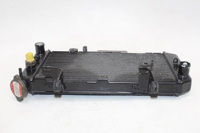 04-09 SUZUKI VSTROM 650 DL650 OEM ENGINE RADIATOR MOTOR COOLER COOLING RADIATER