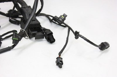 2016 BMW S1000XR OEM MAIN ENGINE WIRING HARNESS MOTOR WIRE LOOM