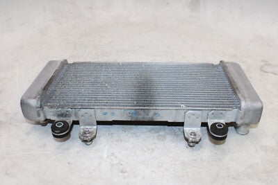 2016 KAWASAKI NINJA 300 EX300 ABS OEM ENGINE RADIATOR MOTOR COOLER COOLING