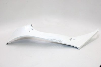 2010 BMW S1000RR OEM LEFT SIDE TANK PANEL COWL