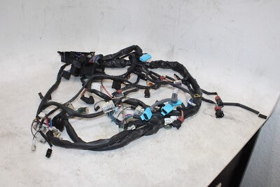 1999 TRIUMPH SPEED TRIPLE T509 OEM MAIN ENGINE WIRING HARNESS MOTOR WIRE LOOM