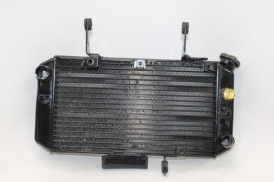 04-09 SUZUKI VSTROM 650 DL650 OEM ENGINE RADIATOR MOTOR COOLER COOLING RADIATER
