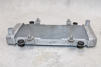 2016 KAWASAKI NINJA 300 EX300 ABS OEM ENGINE RADIATOR MOTOR COOLER COOLING