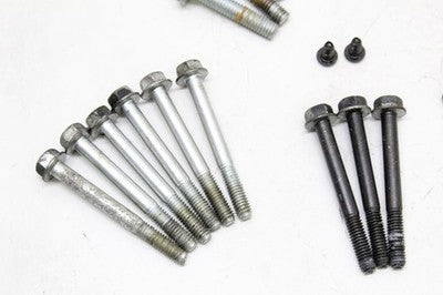 2015 HARLEY-DAVIDSON ROAD GLIDE SPECIAL FLTRXS OEM ENGINE MOUNTING BOLTS SCREWS