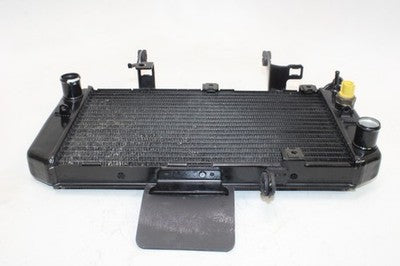 04-09 SUZUKI VSTROM 650 DL650 OEM ENGINE RADIATOR MOTOR COOLER COOLING RADIATER