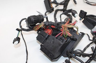 2010 BMW S1000RR OEM MAIN ENGINE WIRING HARNESS MOTOR WIRE LOOM
