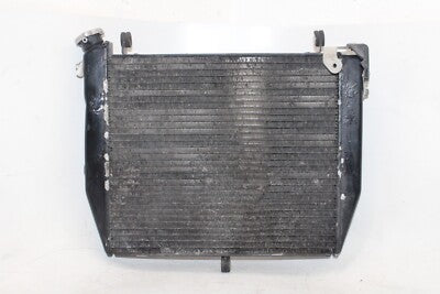 02-03 YAMAHA YZF R1 OEM ENGINE RADIATOR MOTOR COOLER COOLING RADIATER