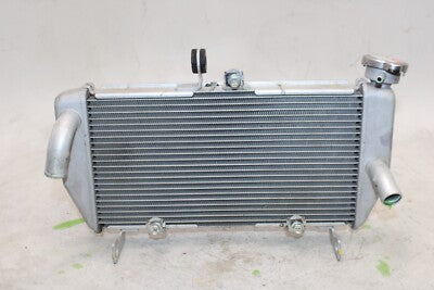 15-25 YAMAHA YZF R3 OEM ENGINE RADIATOR MOTOR COOLER COOLING RADIATER