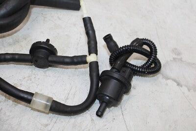 1999 TRIUMPH SPEED TRIPLE T509 OEM MISC HOSES LINES VALVES SET
