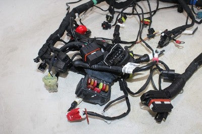 2021 DUCATI SCRAMBLER 1100 SPORT OEM MAIN ENGINE WIRING HARNESS MOTOR WIRE LOOM
