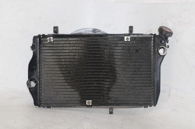 01-03 HONDA CBR1100XX OEM ENGINE RADIATOR MOTOR COOLER COOLING RADIATER