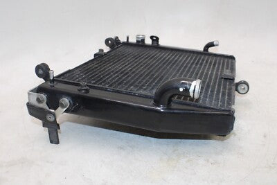 02-03 YAMAHA YZF R1 OEM ENGINE RADIATOR MOTOR COOLER COOLING RADIATER