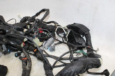 2006 HONDA GOLDWING 1800 GL1800 OEM MAIN ENGINE WIRING HARNESS MOTOR WIRE LOOM