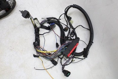 2009 VICTORY HAMMER OEM MAIN ENGINE WIRING HARNESS MOTOR WIRE LOOM