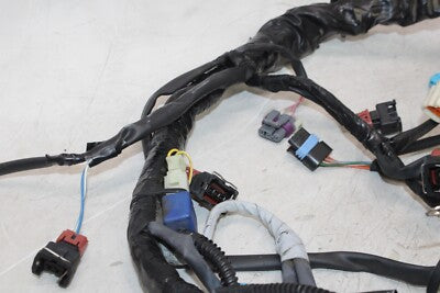 1999 TRIUMPH SPEED TRIPLE T509 OEM MAIN ENGINE WIRING HARNESS MOTOR WIRE LOOM
