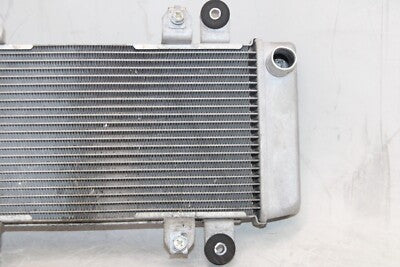 2016 KAWASAKI NINJA 300 EX300 ABS OEM ENGINE RADIATOR MOTOR COOLER COOLING