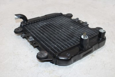 2007 KAWASAKI NINJA 250R EX250F OEM ENGINE RADIATOR MOTOR COOLER COOLING