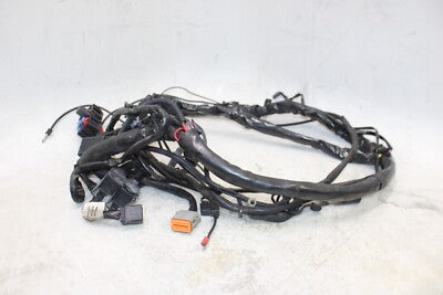 2005 HARLEY-DAVIDSON ELECTRA GLIDE EFI FLHTI OEM MAIN ENGINE WIRING HARNESS