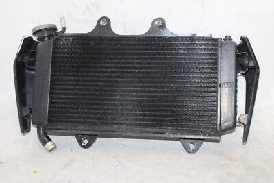 2016 KTM 390 DUKE OEM ENGINE RADIATOR MOTOR COOLER COOLING RADIATER