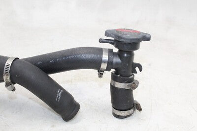 98-01 HONDA INTERCEPTOR 800 OEM RADIATOR CAP W HOSES