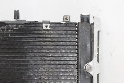 01-05 YAMAHA FZ1 OEM ENGINE RADIATOR MOTOR COOLER COOLING RADIATER