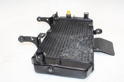 04-09 SUZUKI VSTROM 650 DL650 OEM ENGINE RADIATOR MOTOR COOLER COOLING RADIATER