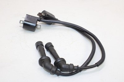 04-06 SUZUKI VSTROM 650 DL650 OEM IGNITION COILS COIL SPARK PLUG CAPS
