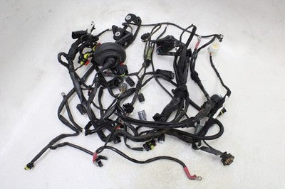 2009 BMW G450X OEM MAIN ENGINE WIRING HARNESS MOTOR WIRE LOOM