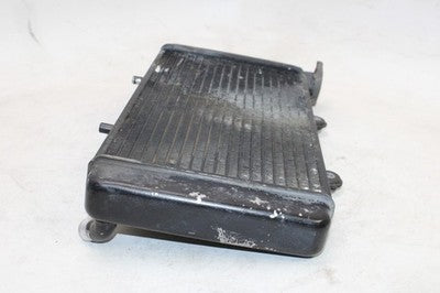 1997 BMW F650 169 OEM ENGINE RADIATOR MOTOR COOLER COOLING RADIATER