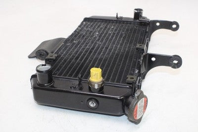 04-09 SUZUKI VSTROM 650 DL650 OEM ENGINE RADIATOR MOTOR COOLER COOLING RADIATER