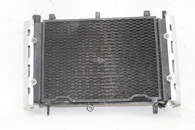 01-05 YAMAHA FZ1 OEM ENGINE RADIATOR MOTOR COOLER COOLING RADIATER