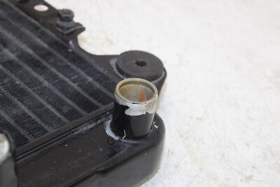 2000 KAWASAKI NINJA 250R EX250F OEM ENGINE RADIATOR MOTOR COOLER COOLING
