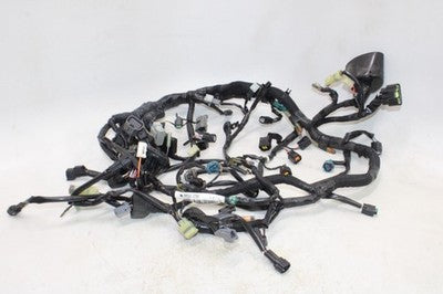15-16 KAWASAKI VERSYS 1000 OEM MAIN ENGINE WIRING HARNESS MOTOR WIRE LOOM