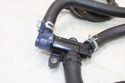 2018 YAMAHA XMAX CZD300A OEM RADIATOR HOSES ENGINE COOLANT WATER PIPES HOSE SET
