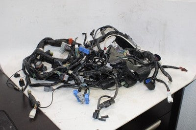 2006 HONDA GOLDWING 1800 GL1800 OEM MAIN ENGINE WIRING HARNESS MOTOR WIRE LOOM
